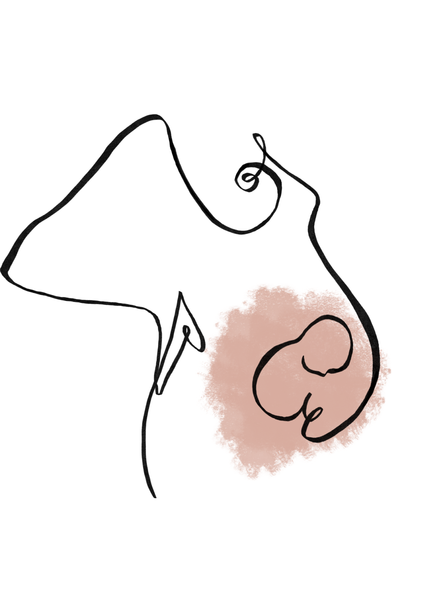 ilustrace těhotenství