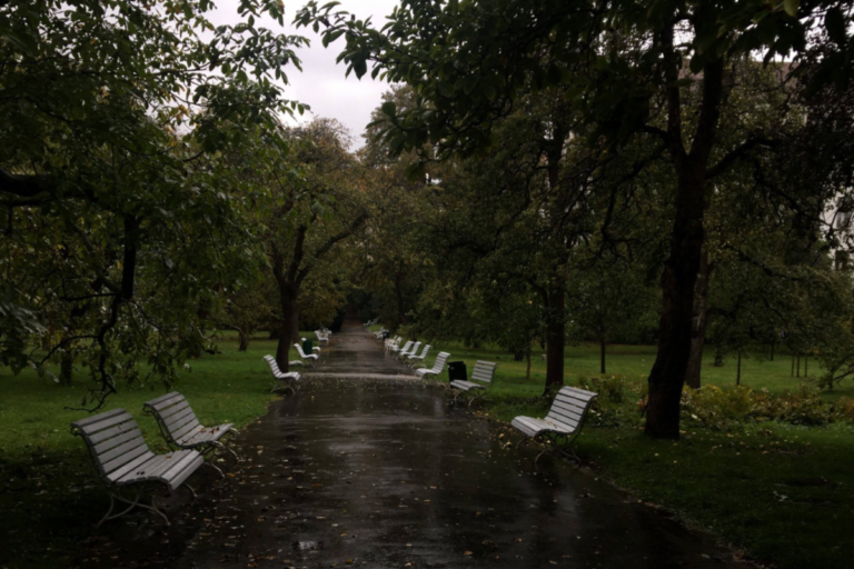 Podzimní ulice se spadaným listím a lavičkami