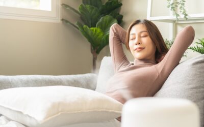 Zvlhčovač vzduchu a ventilátor: Praktická dvojice pro zdravější domov