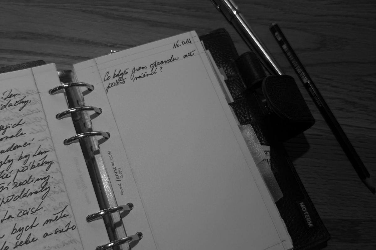 SB_WEB header